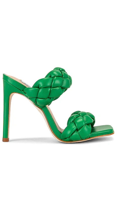 Steve Madden Women's Kenley Braided Dress Sandals In Green | ModeSens