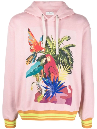Shop Etro Parrot-embroidery Drawstring Hoodie In Pink