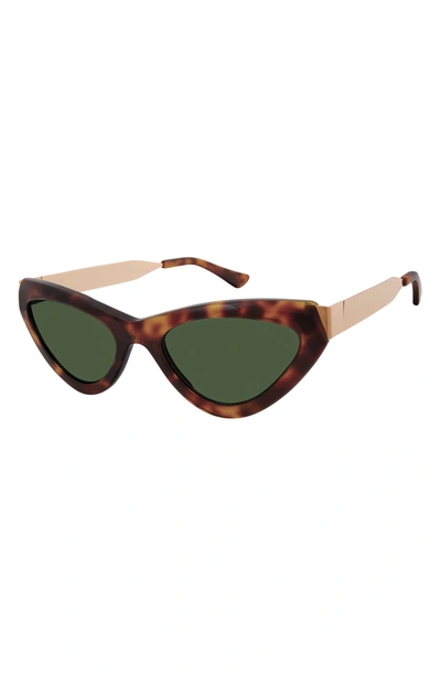 Shop True Religion 51mm Cat Eye Sunglasses In Tortoise