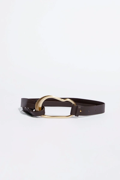 Shop Jewelry &amp; Accessories Split Leather Tie Belt In Chocolate,gold