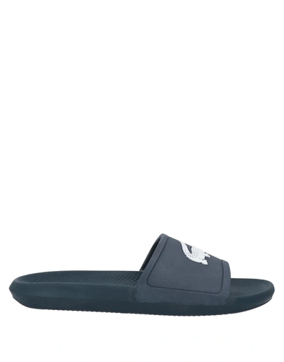 Shop Lacoste Man Sandals Black Size 7 Rubber