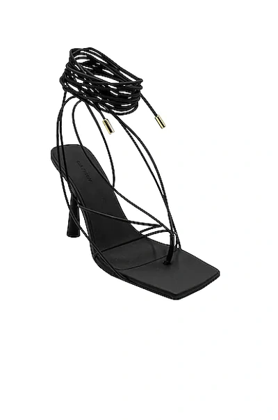 Shop Gia Borghini X Rhw Tall Lace Up Sandal In Black Matte
