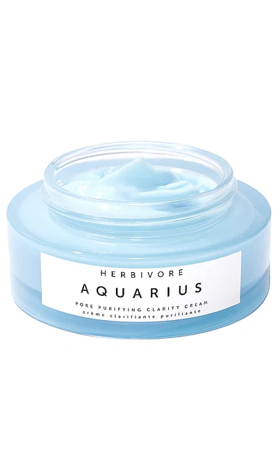 Herbivore Botanicals Aquarius Pore Purifying Clarity Cream In Beauty: Na