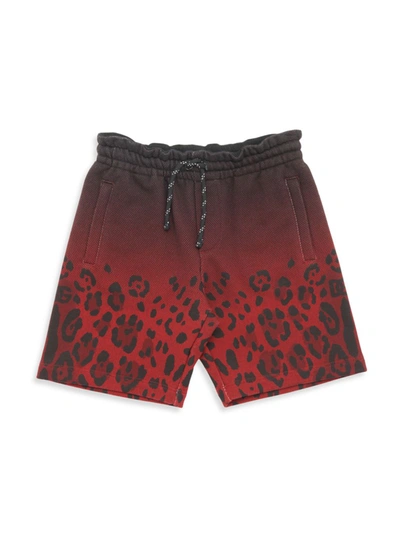 Shop Dolce & Gabbana Little Boy's & Boy's Animale Drawstring Shorts In Black And Red