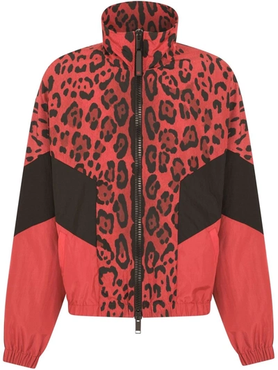 Dolce & Gabbana Zip-up Leopard-print Nylon Sweatshirt With Embroidery In Rot