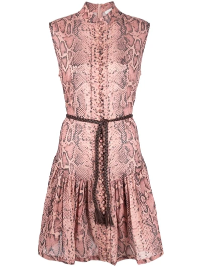 Shop Zimmermann Snake-print Flared Dress In Rosa