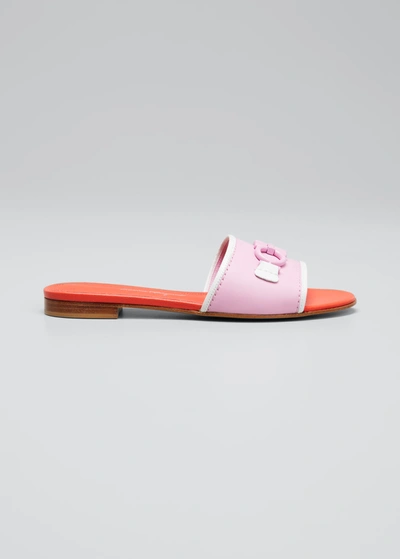 Shop Ferragamo Rhodes Gancini Leather Slide Sandals In Flamingo