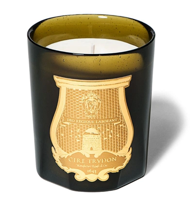 Shop Cire Trudon Trudon Roi Soleil Candle (270g) In Green