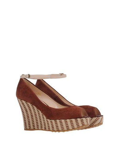 Shop Tod's Pumps In Cocoa