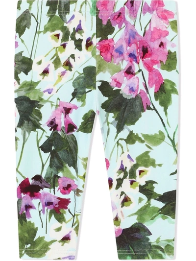 Shop Dolce & Gabbana Floral-print Cotton Leggings In Green