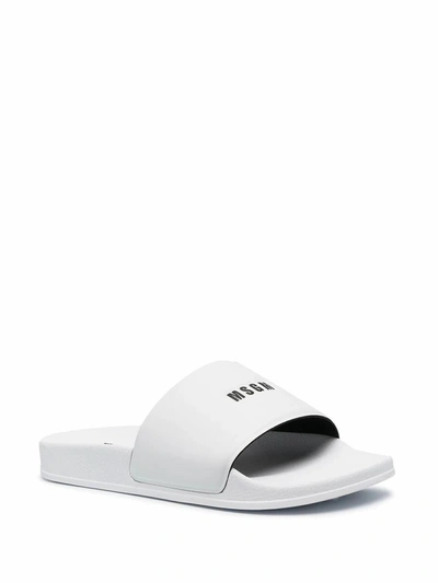 Shop Msgm Men's White Pvc Sandals