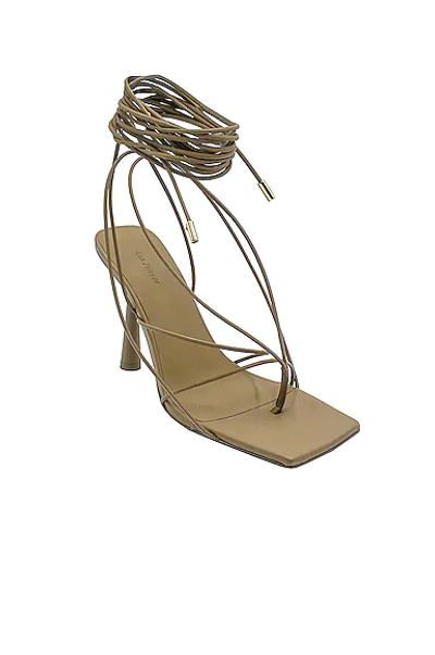 Shop Gia Borghini X Rhw Tall Lace Up Sandal In Biscotti