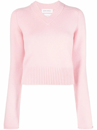 Shop Extreme Cashmere V-neck Knitted Jumper In Pink