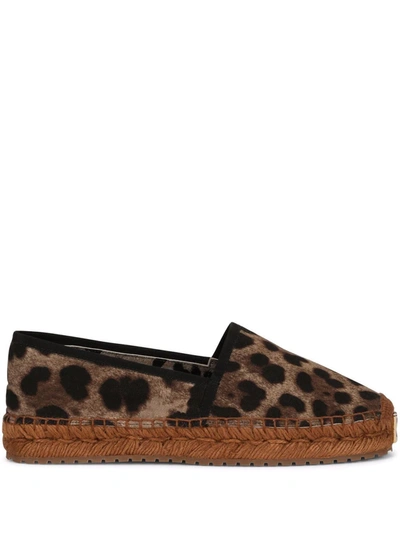 Shop Dolce & Gabbana Leopard-print Logo-tag Espadrilles In Brown