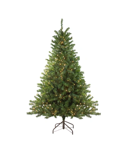 Shop Northlight 5' Pre-lit Canadian Pine Artificial Christmas Tree In Green