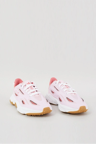 Shop Adidas Donna Adidas Women's Sneakers In Rosa