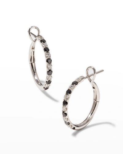 Shop Frederic Sage Alternating Black And White Diamond Hoop Earrings