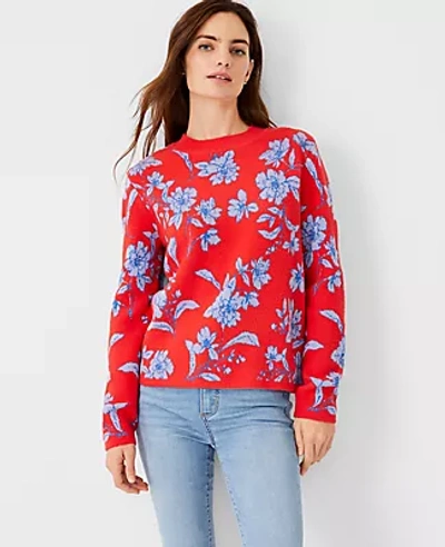 Shop Ann Taylor Floral Jacquard Sweater In Vermilion Kiss