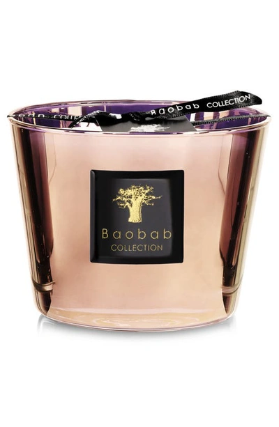 Shop Baobab Collection Les Exclusives Cyprium Max Candle In Cyprium-small