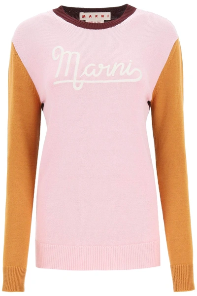 Shop Marni Color Block Cotton Sweater In Light Pink (pink)
