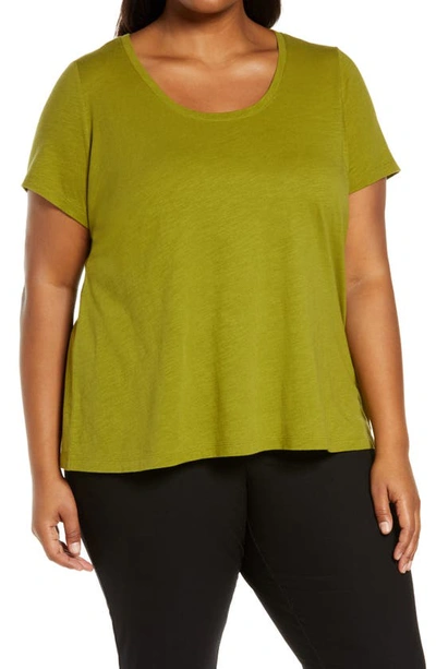 Shop Eileen Fisher U-neck Organic Cotton T-shirt In Green