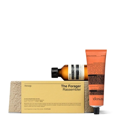 Shop Aesop The Forager Gift Set In Nc