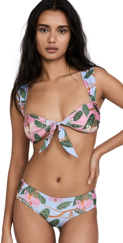 Shop Palmacea Front Tie Bikini Top In Lirio1/lirio2