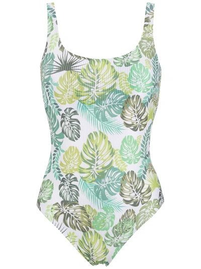 Shop Amir Slama Palm Leaf Print Swimsuit In Green