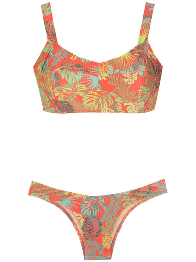 Shop Amir Slama Palm Leaf Print Bikini In Red