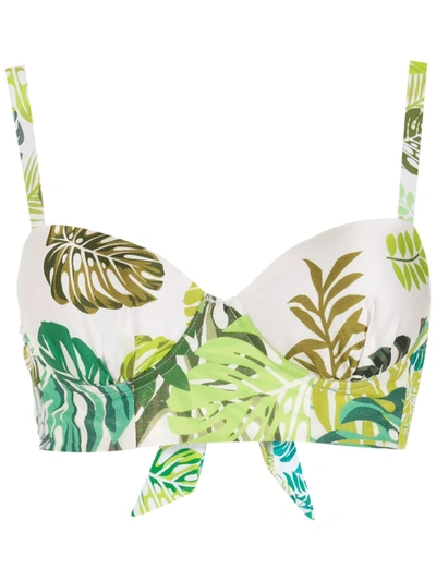 Shop Amir Slama Palm Leaf Print Bikini Top In Green