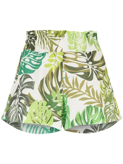 Shop Amir Slama Palm Leaf Print Shorts In Green