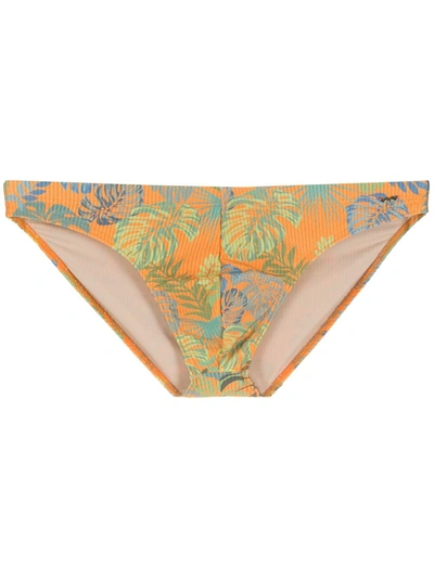 Shop Amir Slama Tropical Print Swim Briefs In Orange