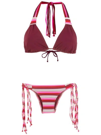 Shop Amir Slama Striped Bikini Set In Pink
