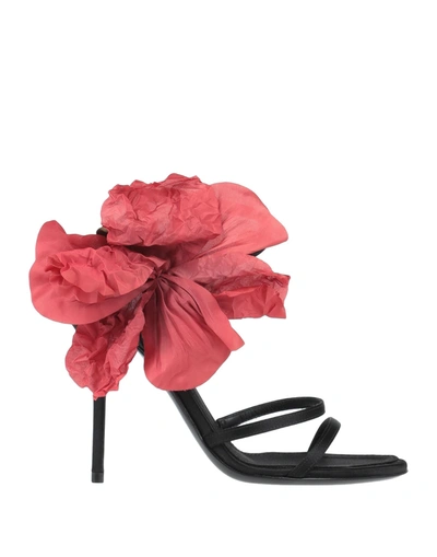 Shop Dolce & Gabbana Woman Sandals Black Size 6.5 Textile Fibers