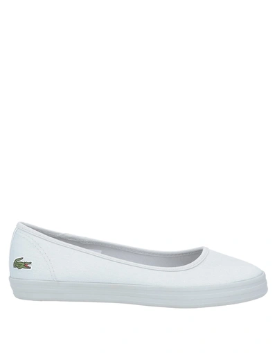 Lacoste Flats In Grey ModeSens