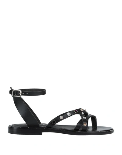 Shop Fiorina Toe Strap Sandals In Black