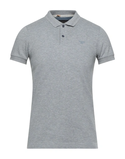 Shop Tiger Jay Man Polo Shirt Light Grey Size M Cotton, Polyamide