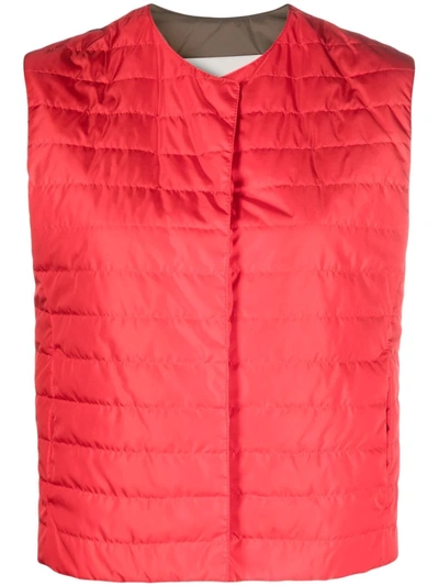 Shop Mackintosh Isabel Quilted Liner Vest In Red
