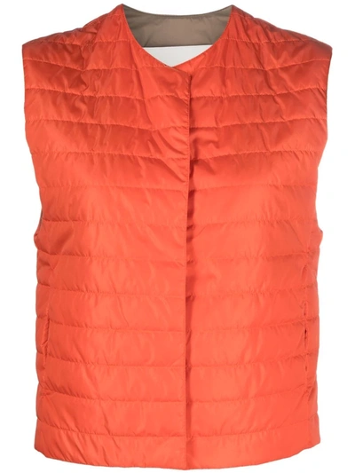 Shop Mackintosh Isabel Quilted Liner Vest In Orange