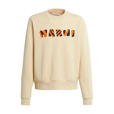Shop Marni Sweater In Ivory