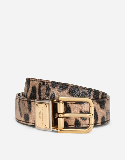 Dolce & Gabbana Leopard-print Crespo Belt With Branded Plate In Multicolor