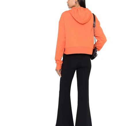 Shop Balmain Women's Orange Cotton Sweatshirt