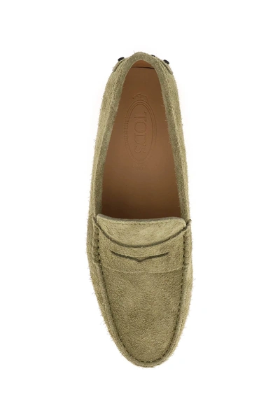 Shop Tod's Suede Leather Gommino Driver Loafers In Green