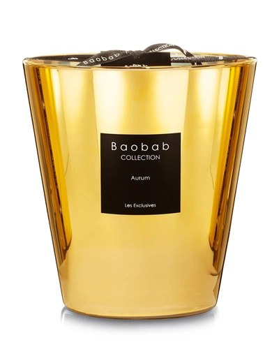 Shop Baobab Collection Aurum Scented Candle, 6.3"