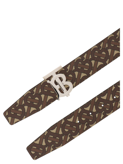 Shop Burberry 'tb' Belt In Brown