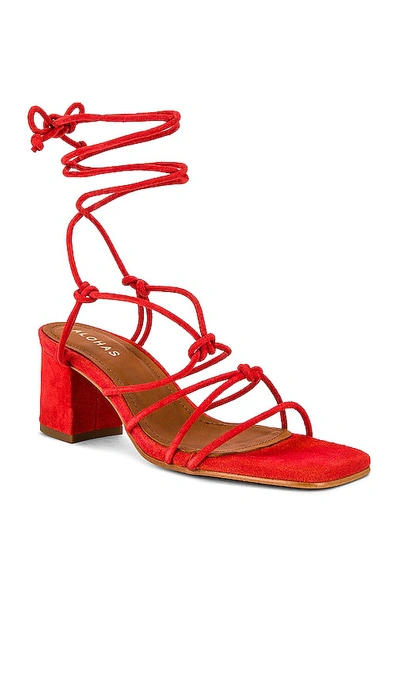 Shop Alohas Paloma Sandal In Red