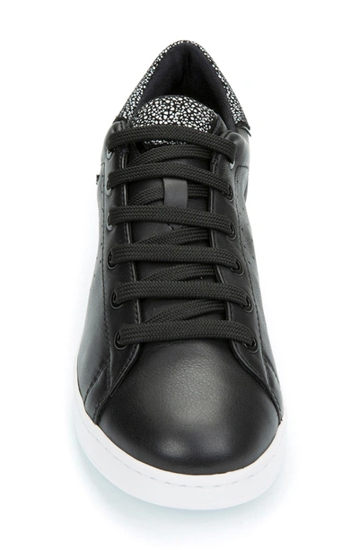 Geox Jaysen Sneaker In Nocolor ModeSens