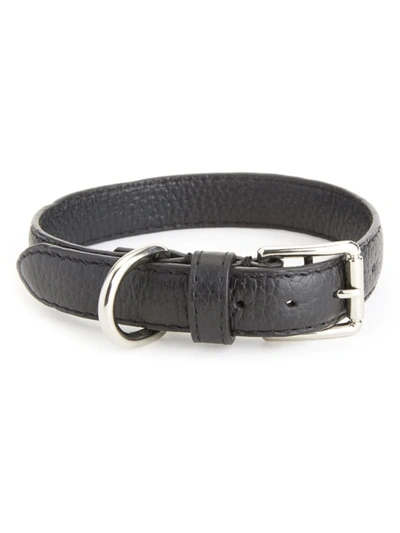 Shop Royce New York Small Leather Dog Collar In Black