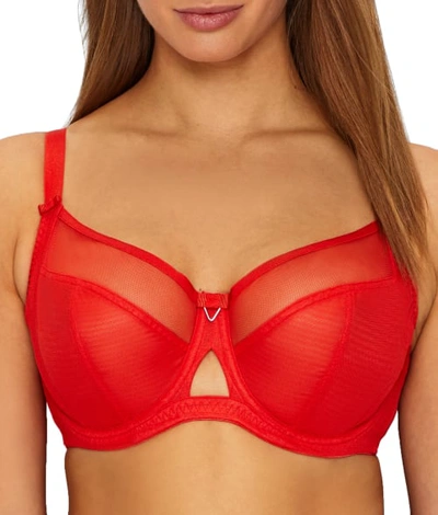 Shop Curvy Kate Victory Side Support Bra In Flame