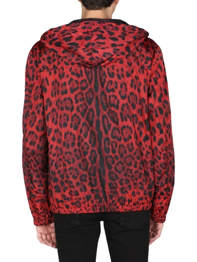 Shop Dolce & Gabbana Jacket With Animal Print In Red